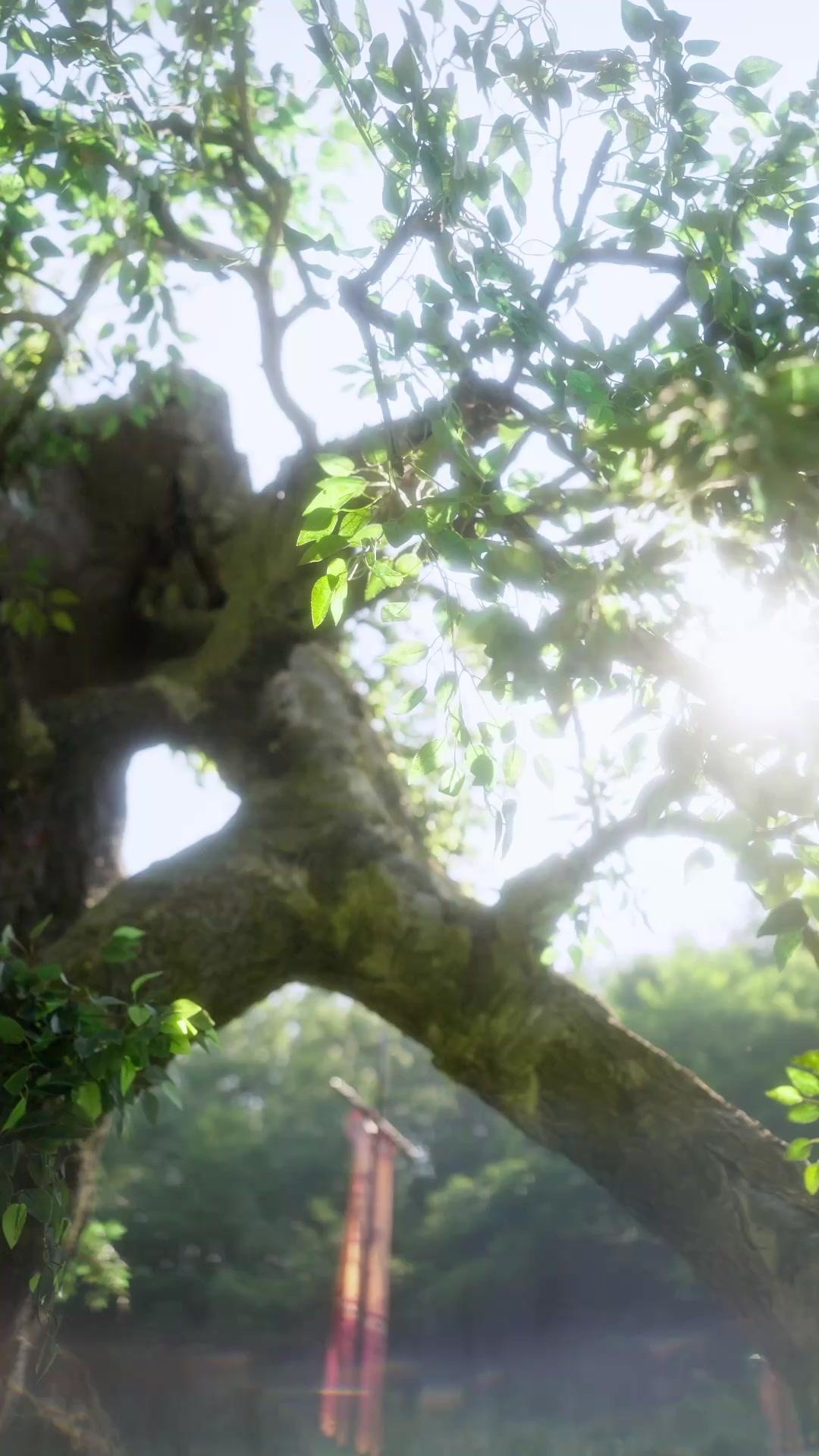 誤會大了！王爺都愛上我