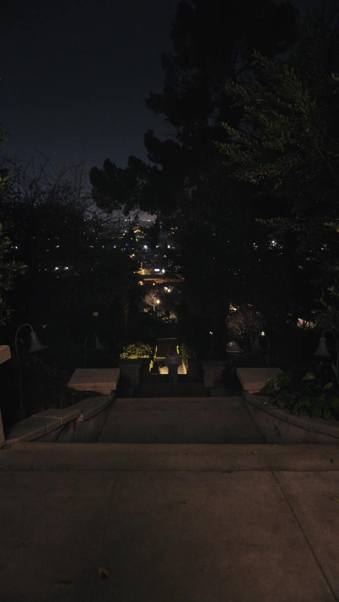 Chefe da Máfia Virou Meu Pet