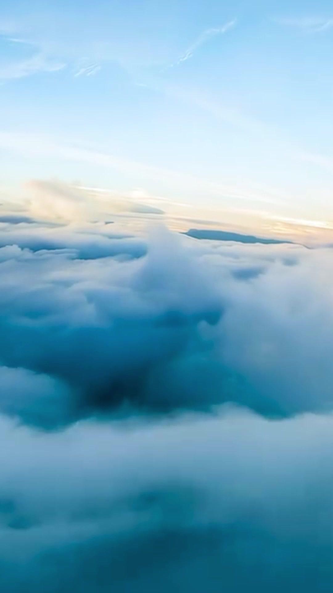 Legends of The Last Cultivator