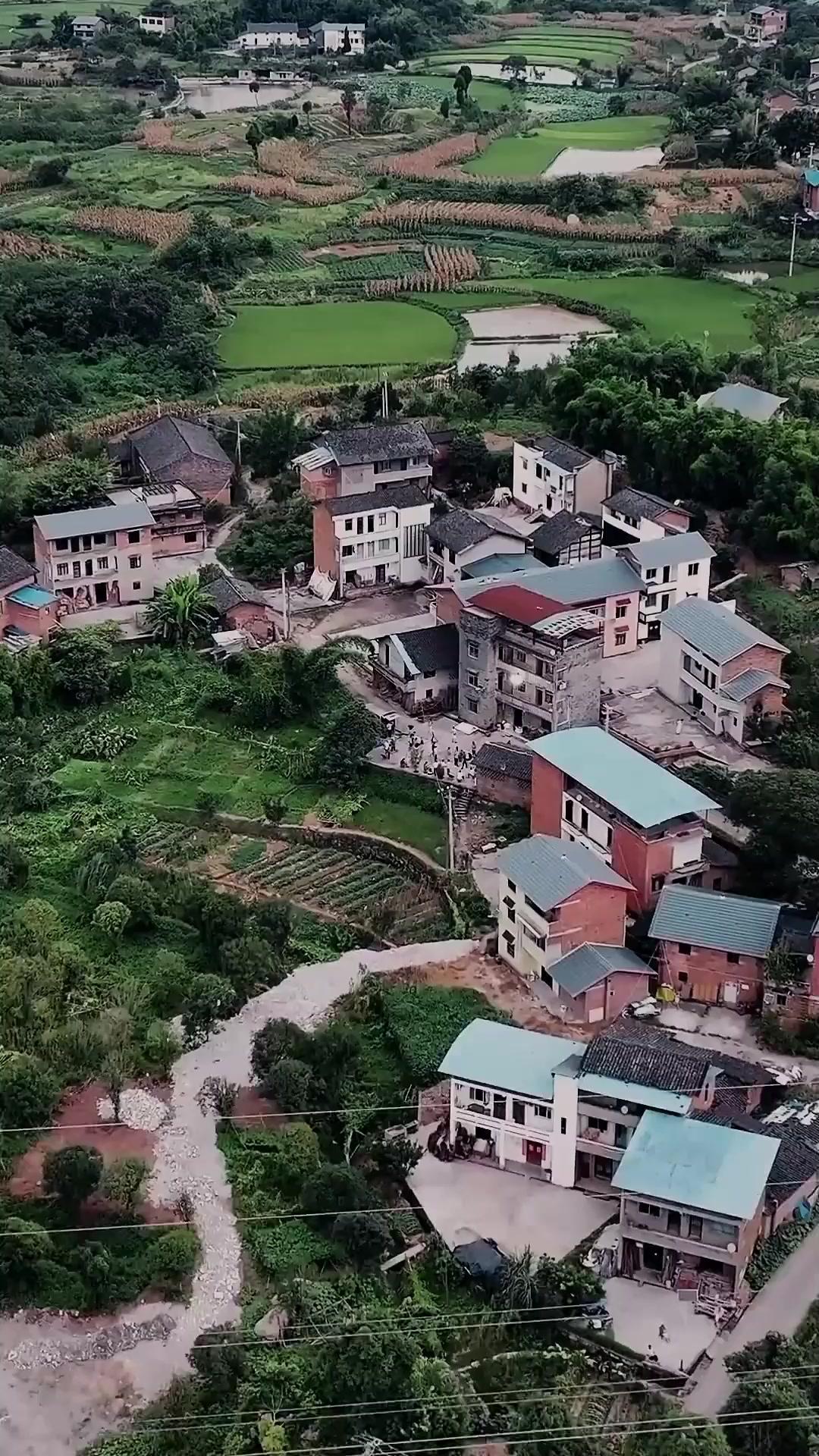 Mr. CEO's Village Princess