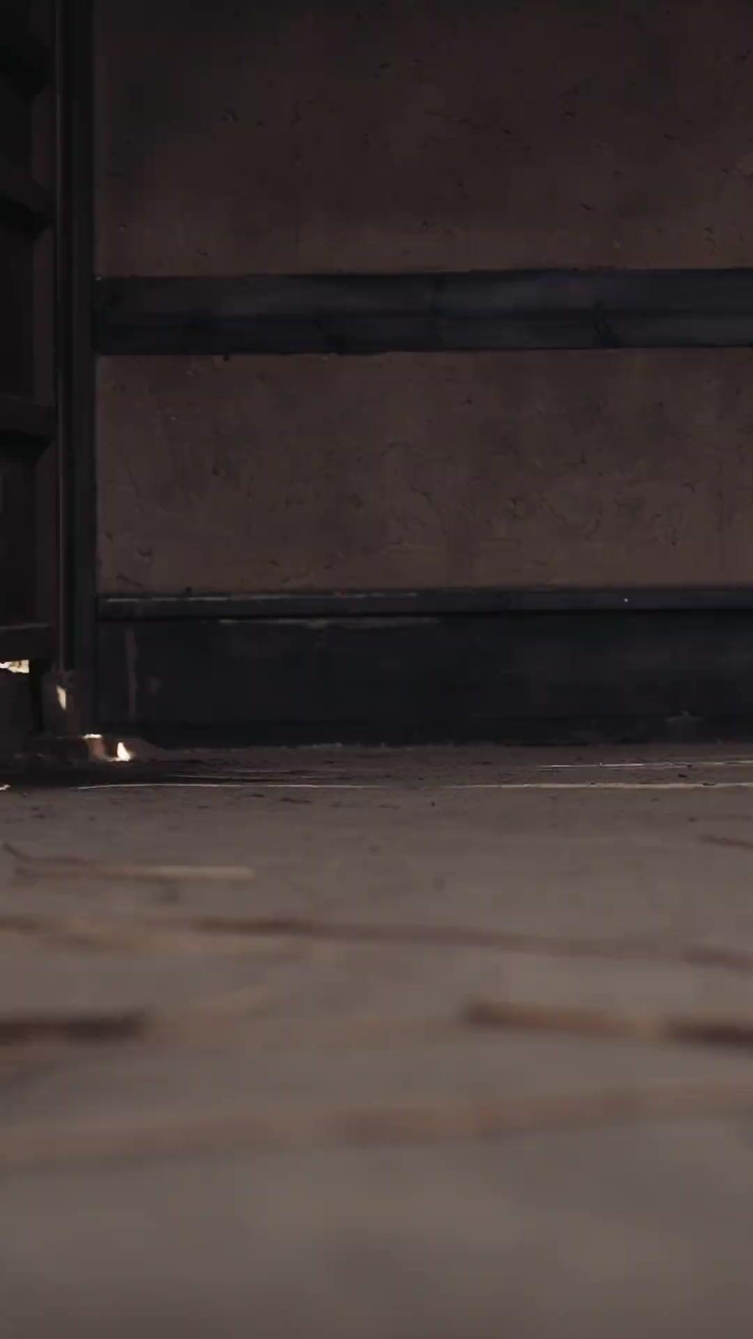 Main Survived, Married aur Conquered!