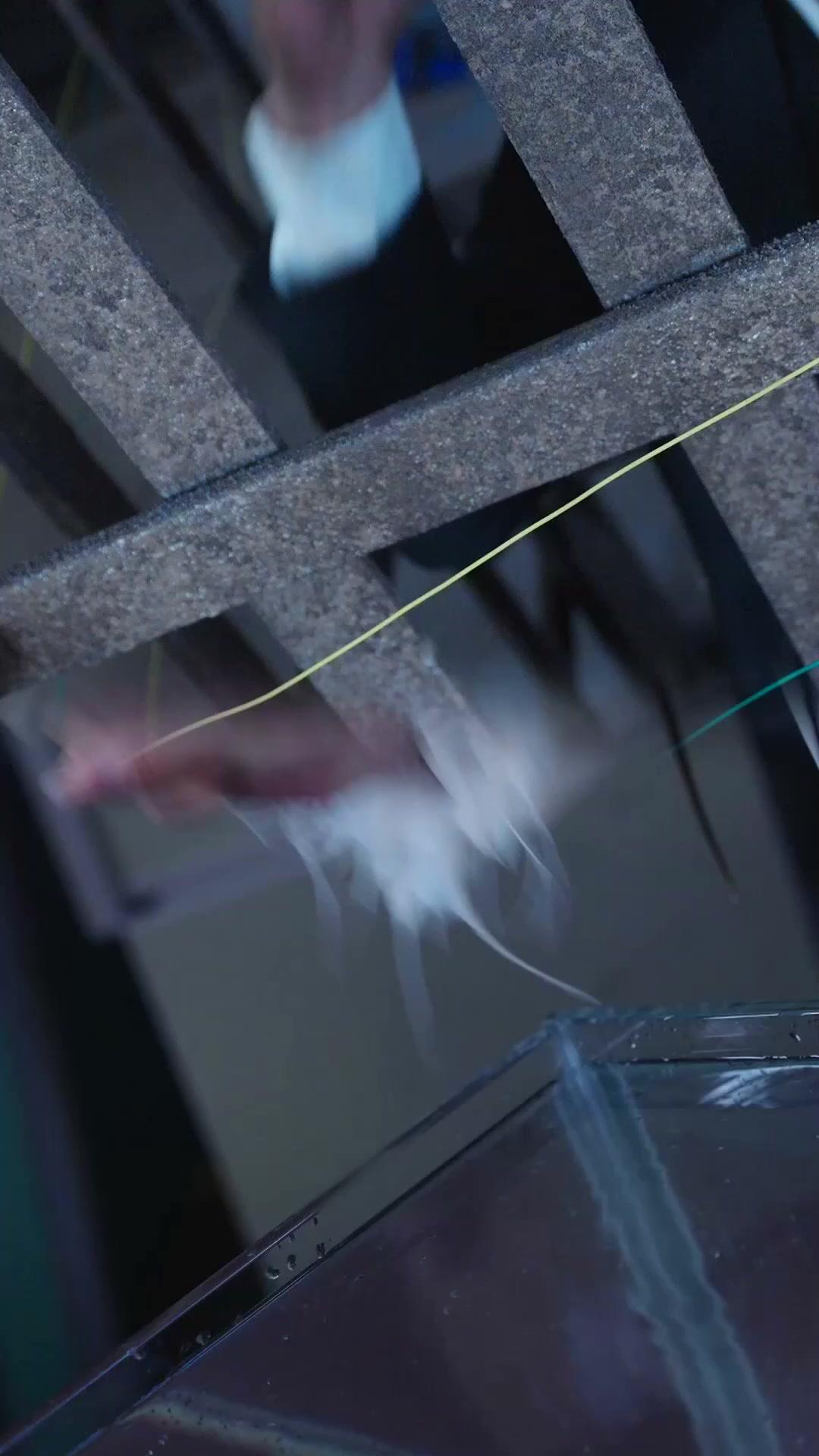 Heartbeat of Mr. Right