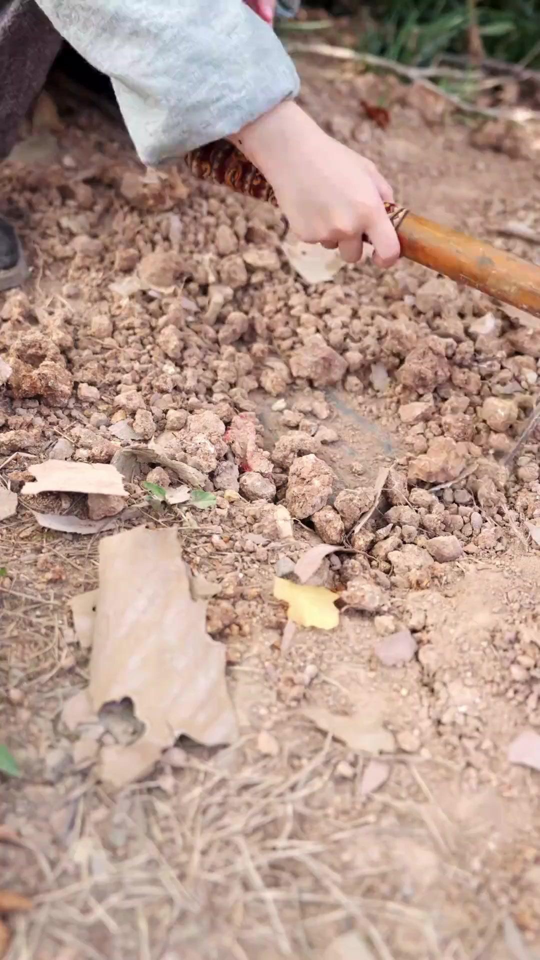 الابنة التي أعادت للأم مجدها