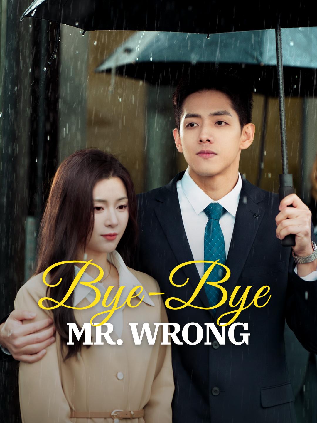Bye-Bye, Mr. Wrong