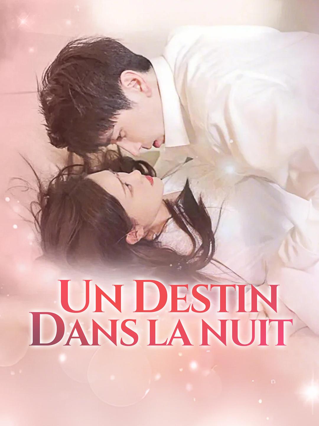 UN DESTIN DANS LA NUIT