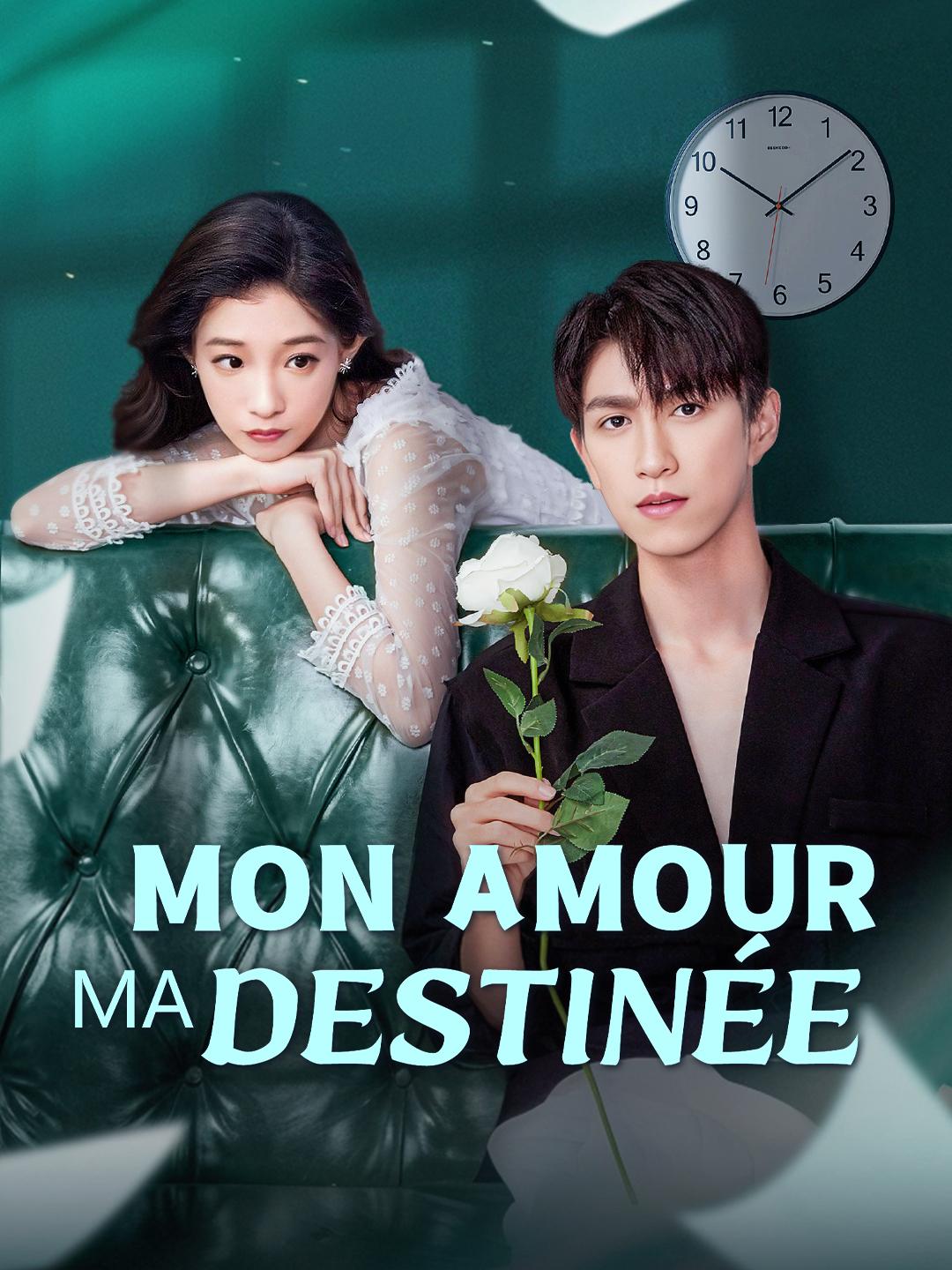 MON AMOUR MA DESTINÉE