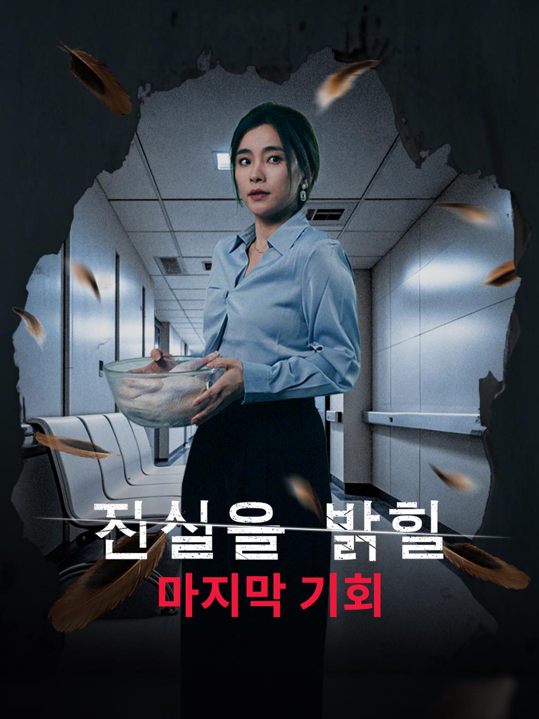 진실을 밝힐 마지막 기회 무료 전체 에피소드 시청