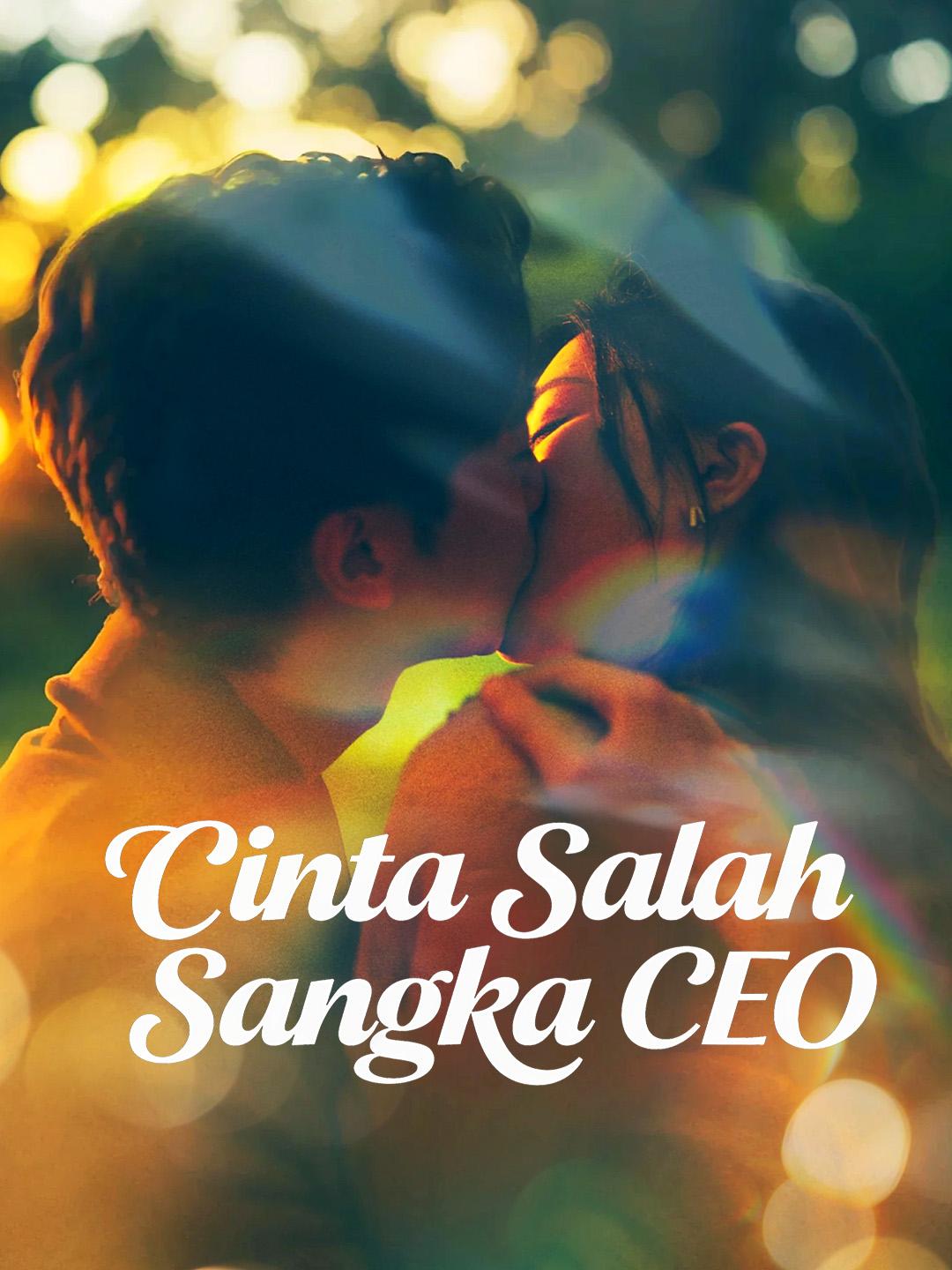 Cinta Salah Sangka CEO