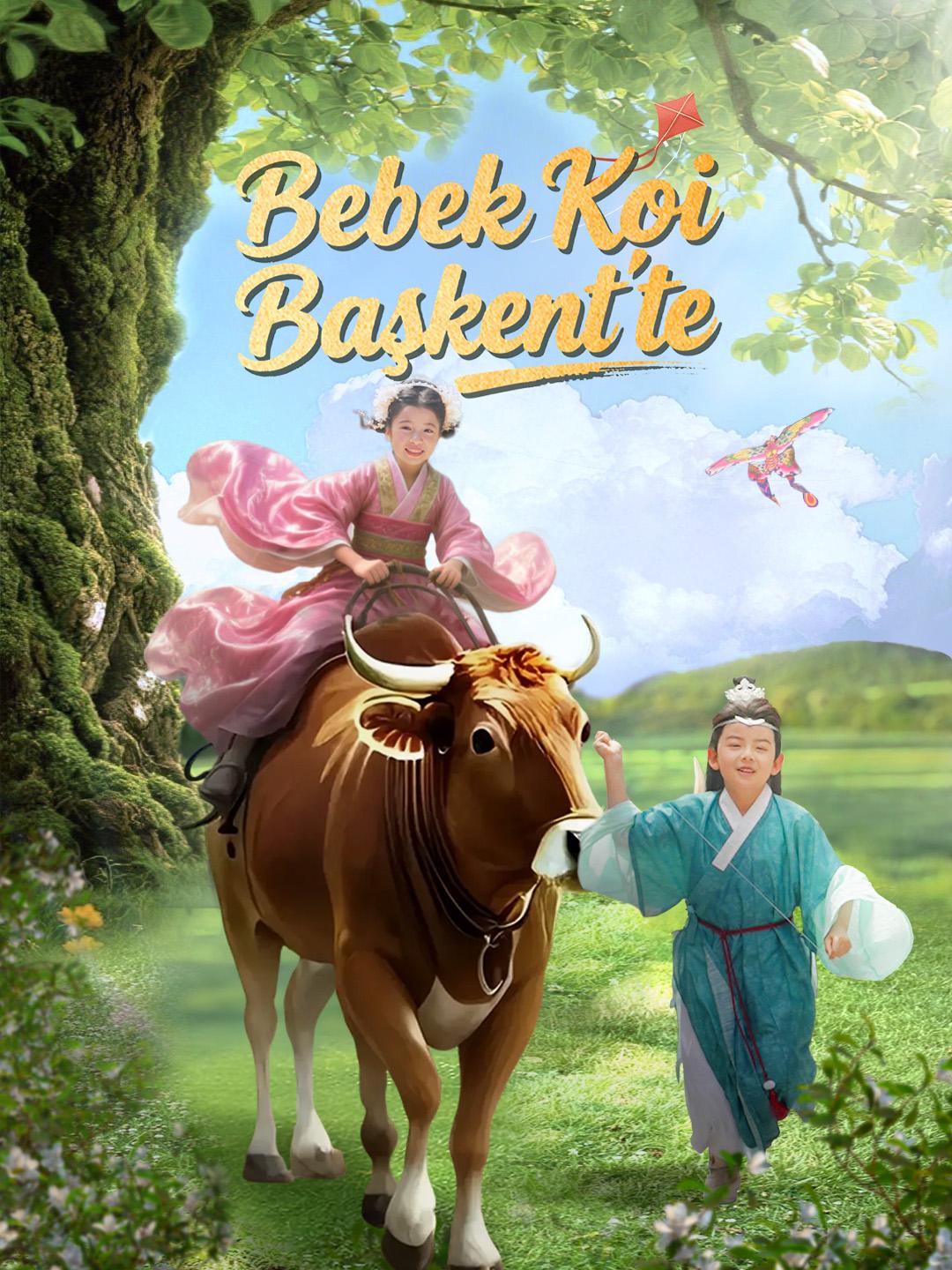 Bebek Koi Başkent'te