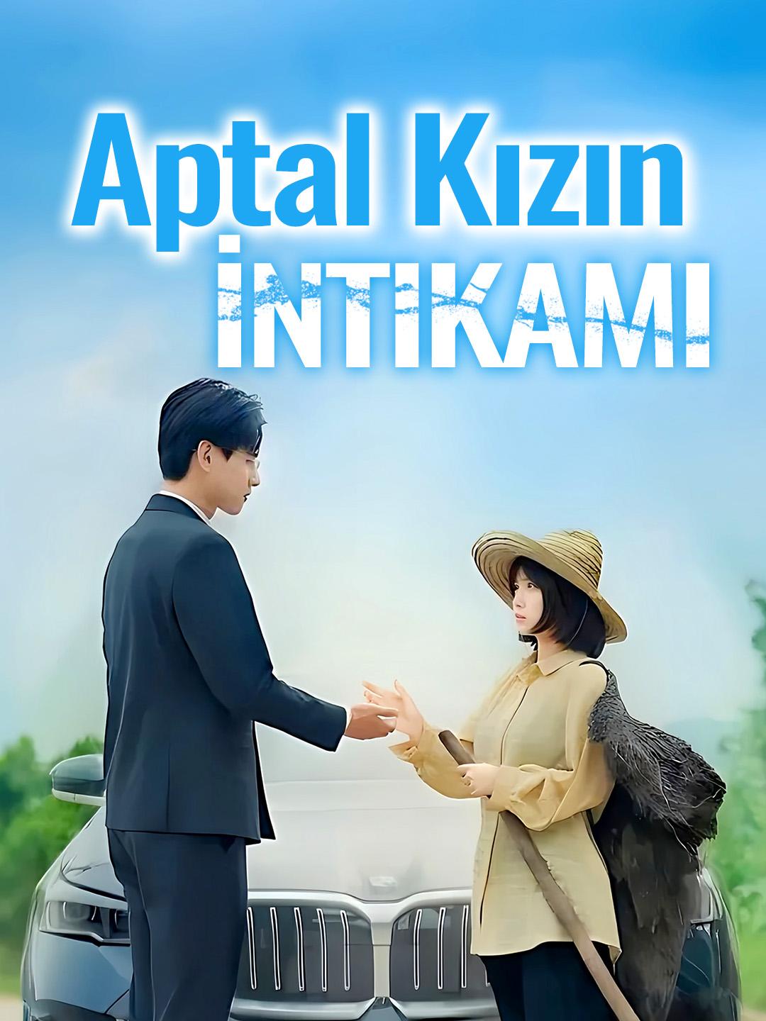 Aptal Kızın İntikamı 