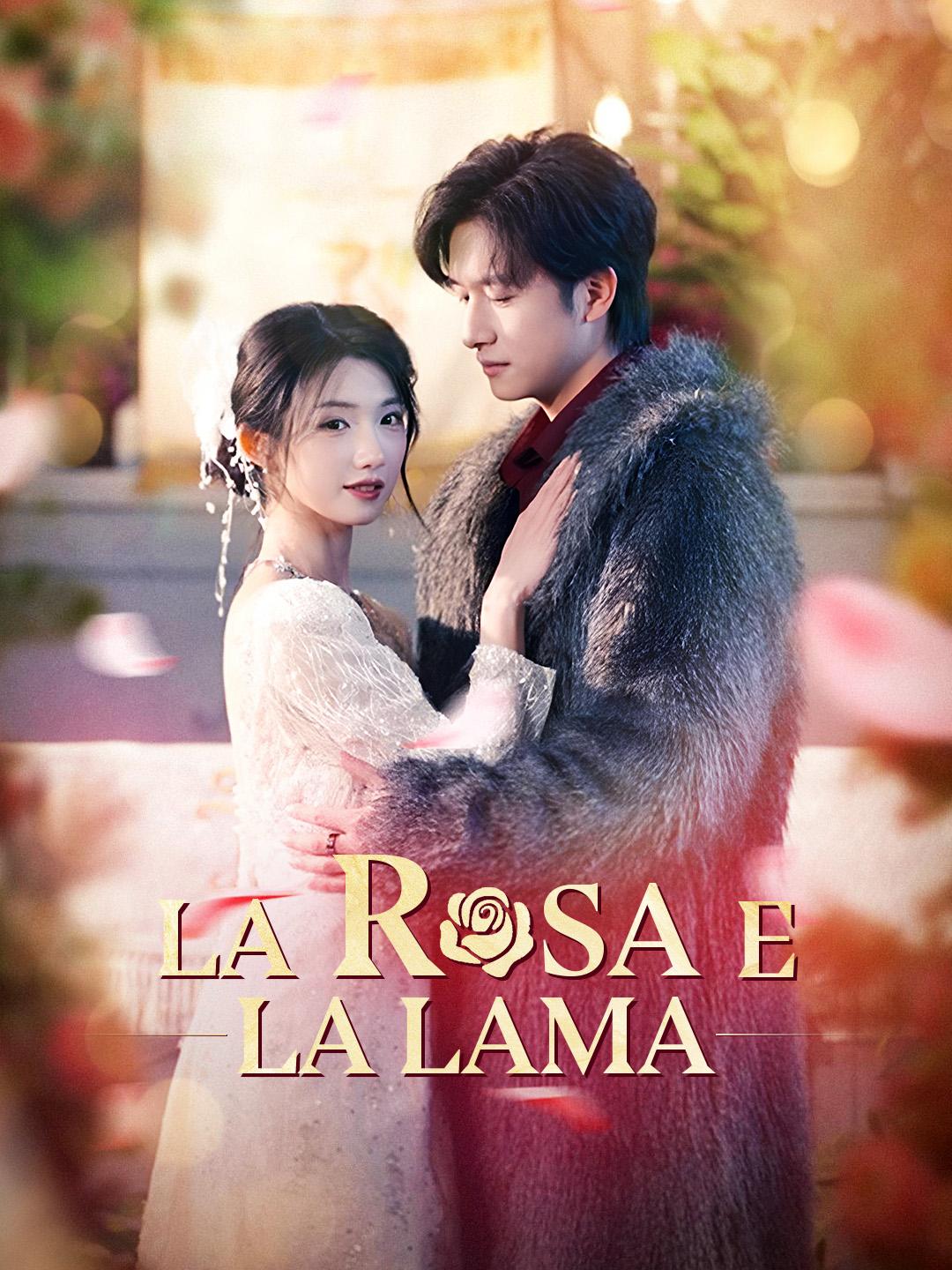 La Rosa e la Lama