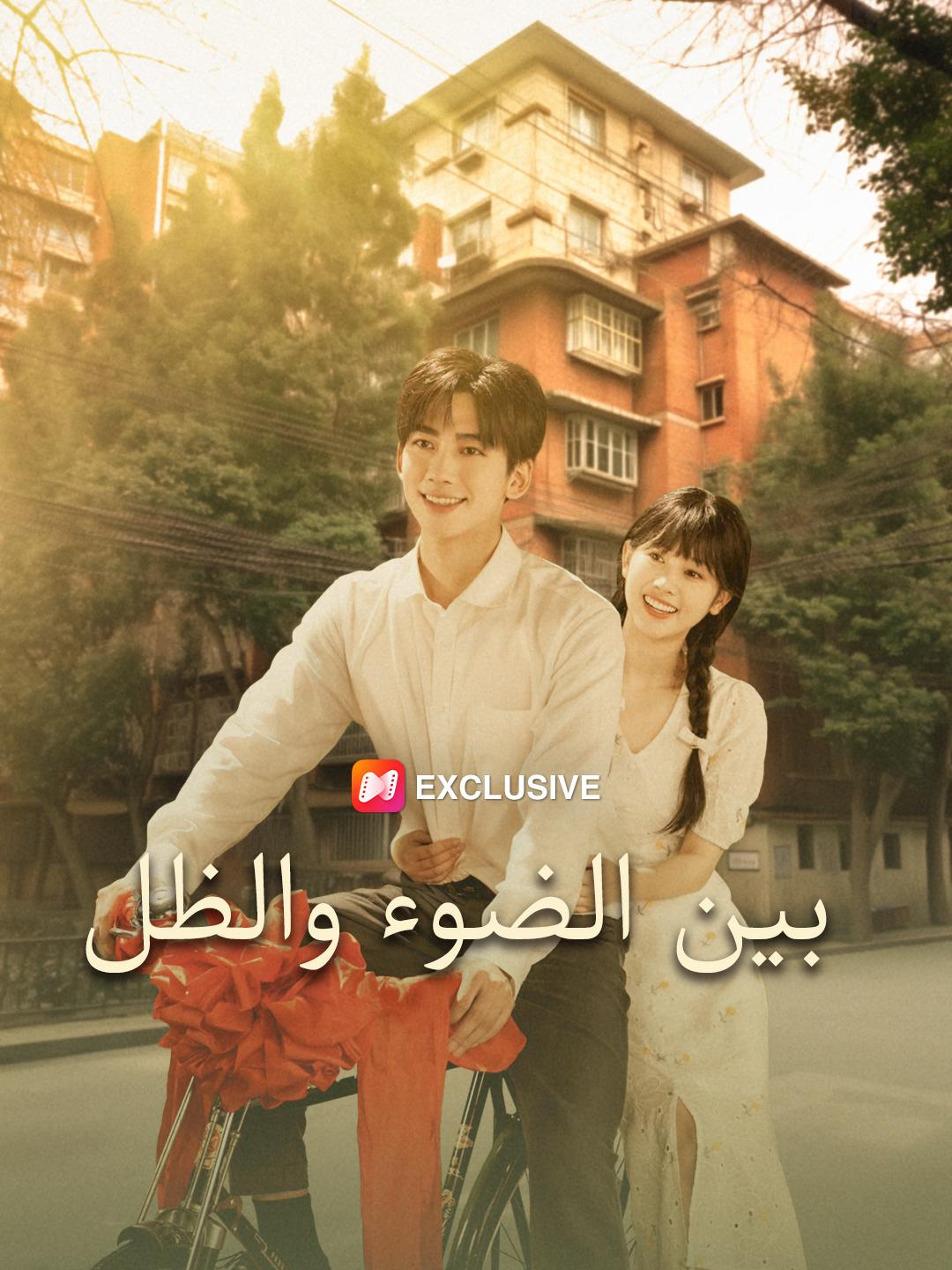 بين الضوء والظل