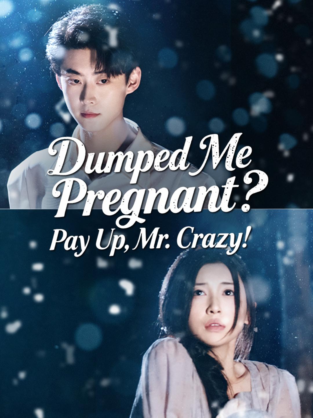 Dumped Me Pregnant? Pay Up, Mr. Crazy!