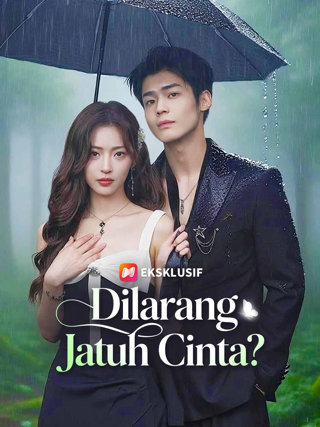 Dilarang Jatuh Cinta?