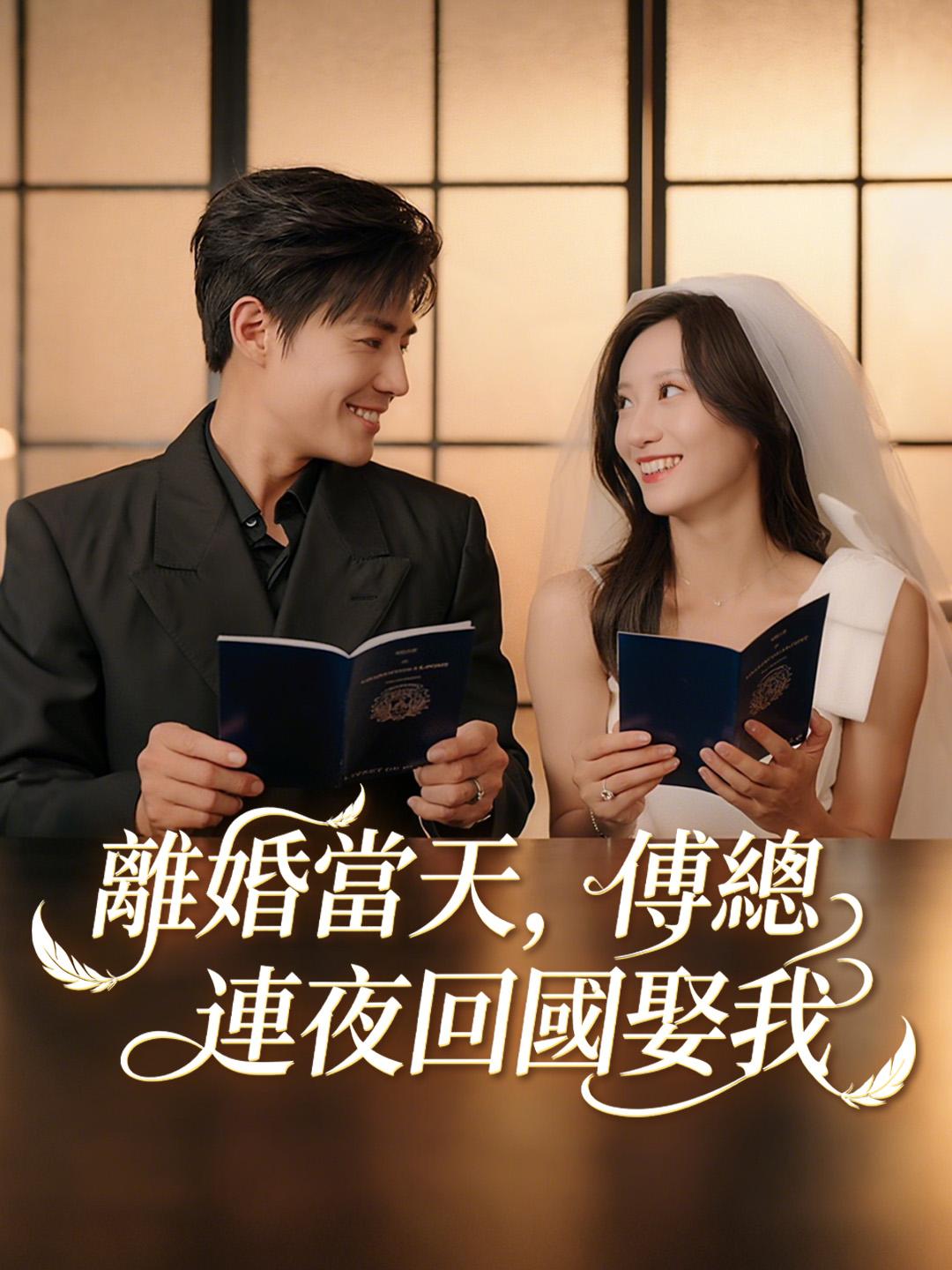 離婚當天，傅總連夜回國娶我
