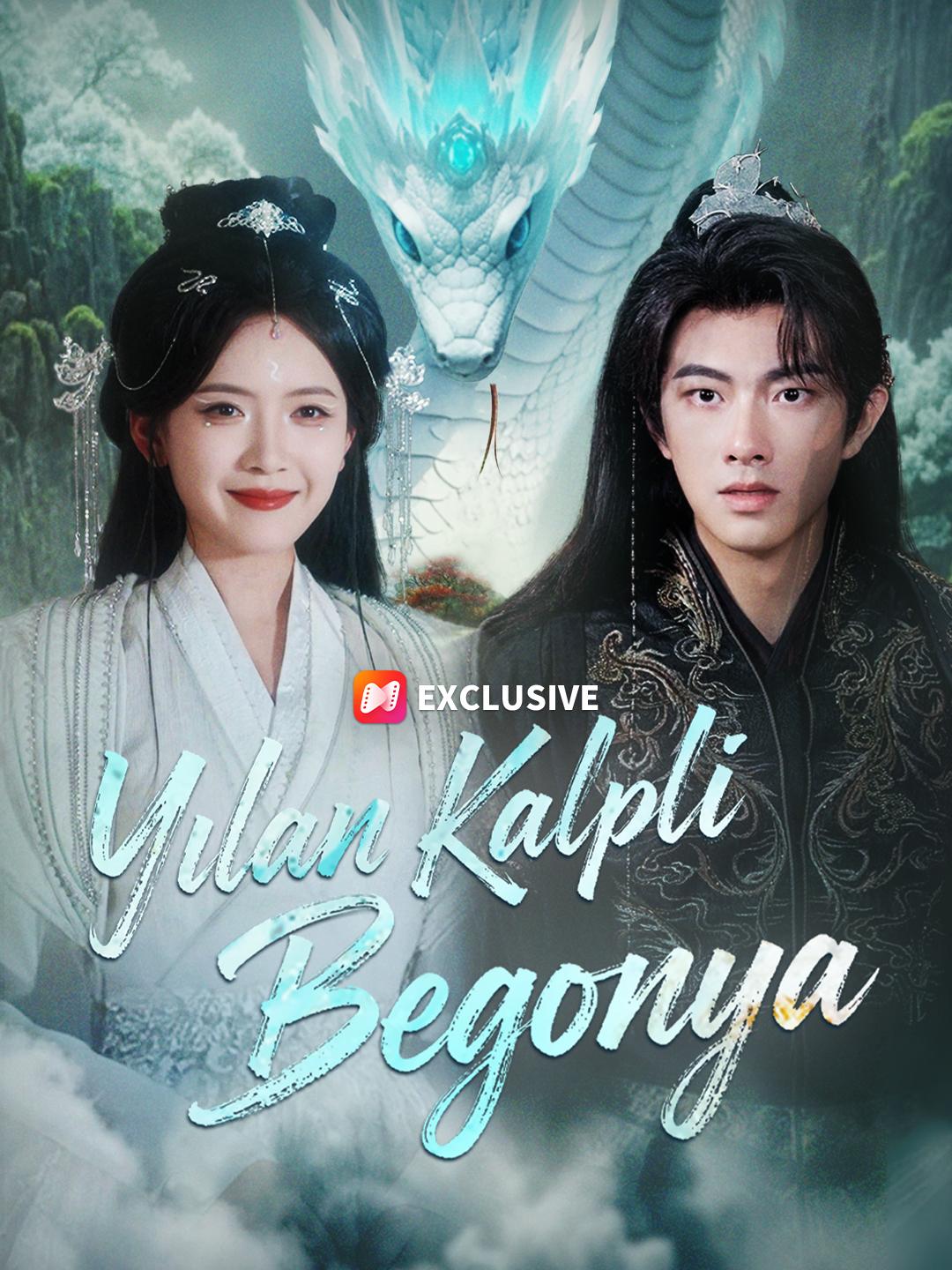 Yılan Kalpli Begonya