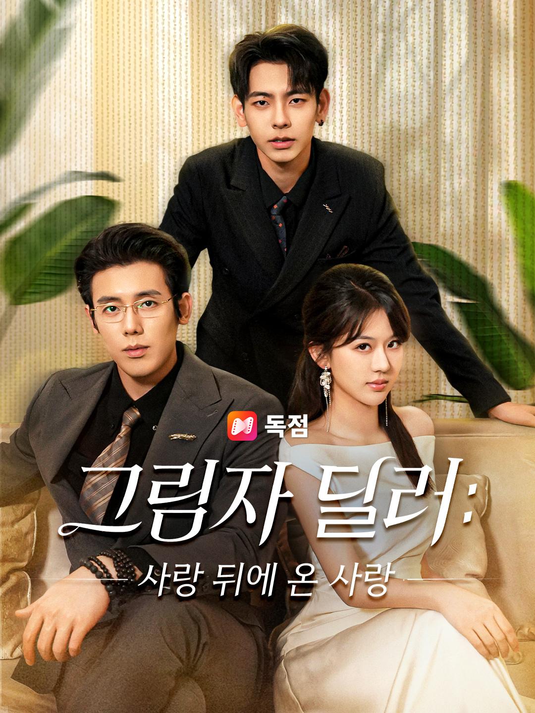 그림자 딜러: 사랑 뒤에 온 사랑