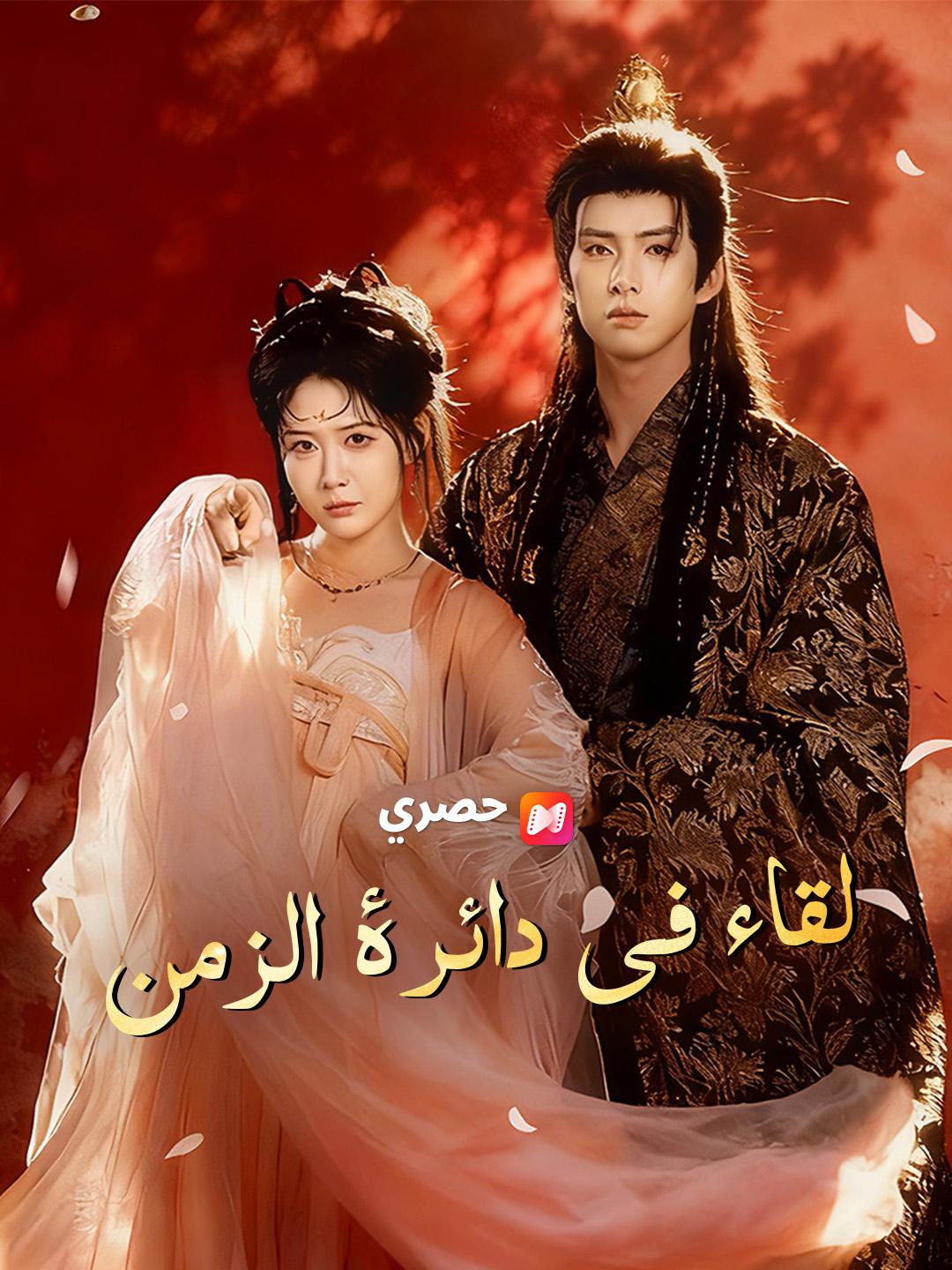 لقاء في دائرة الزمن