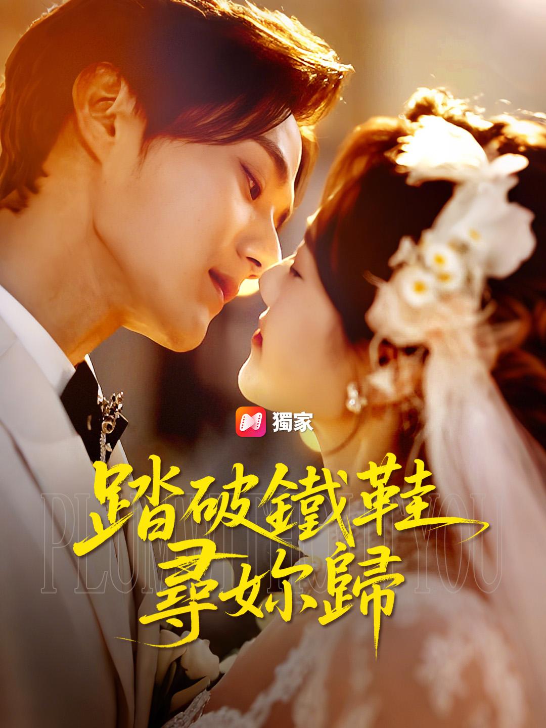 踏破鐵鞋尋妳歸