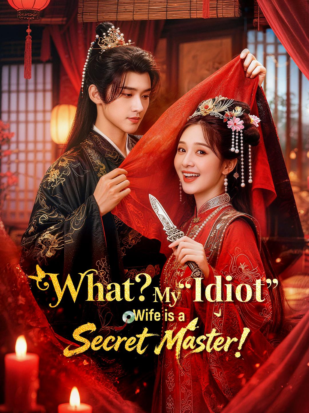 What? My “Idiot” Wife is a Secret Master!