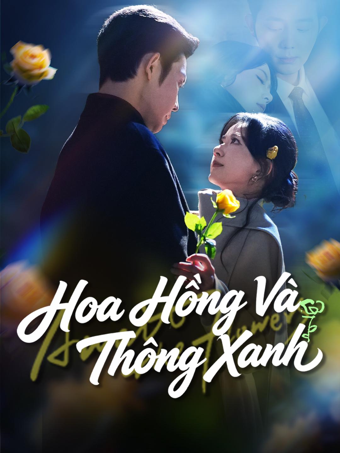 Hoa Hồng Và Thông Xanh