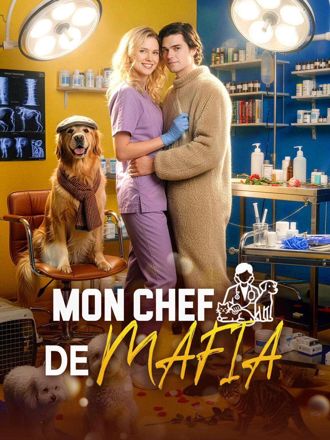 MON CHEF DE MAFIA