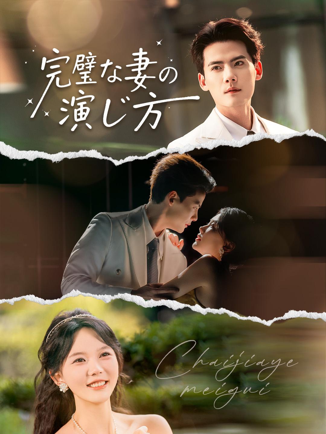 完璧な妻の演じ方