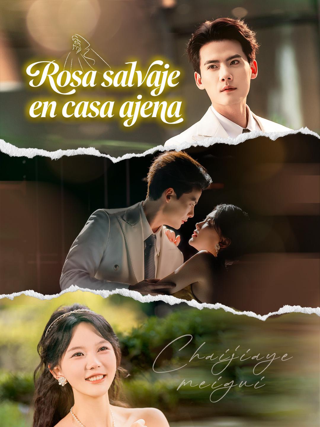 Rosa salvaje en casa ajena