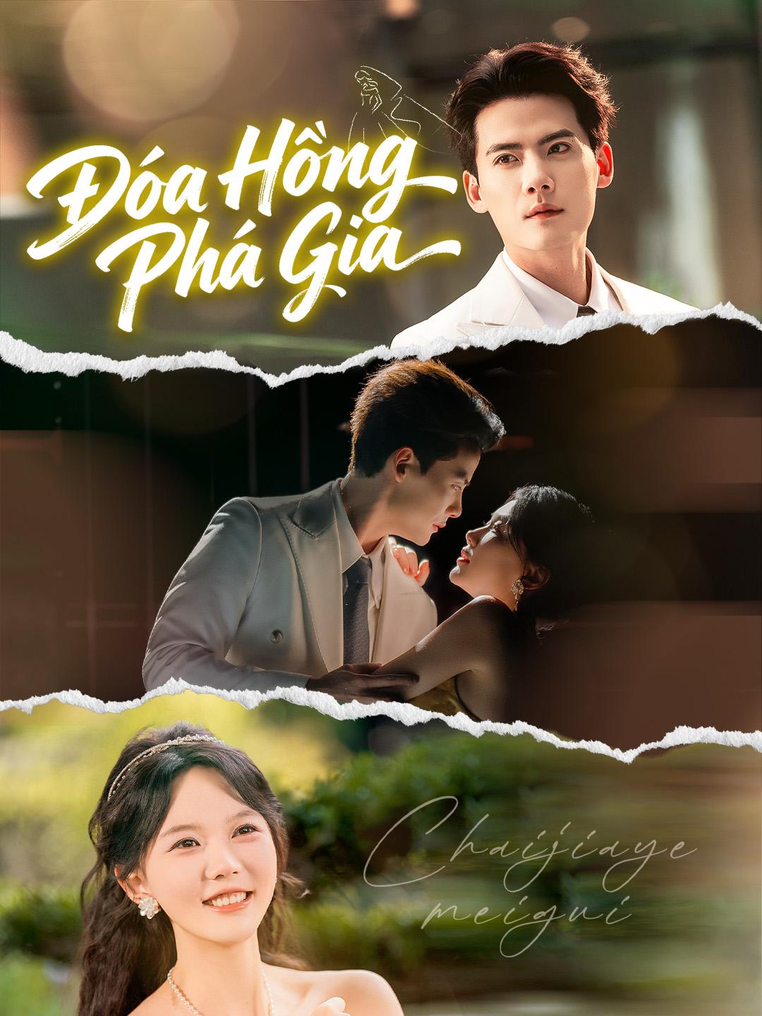 Đóa Hồng Phá Gia