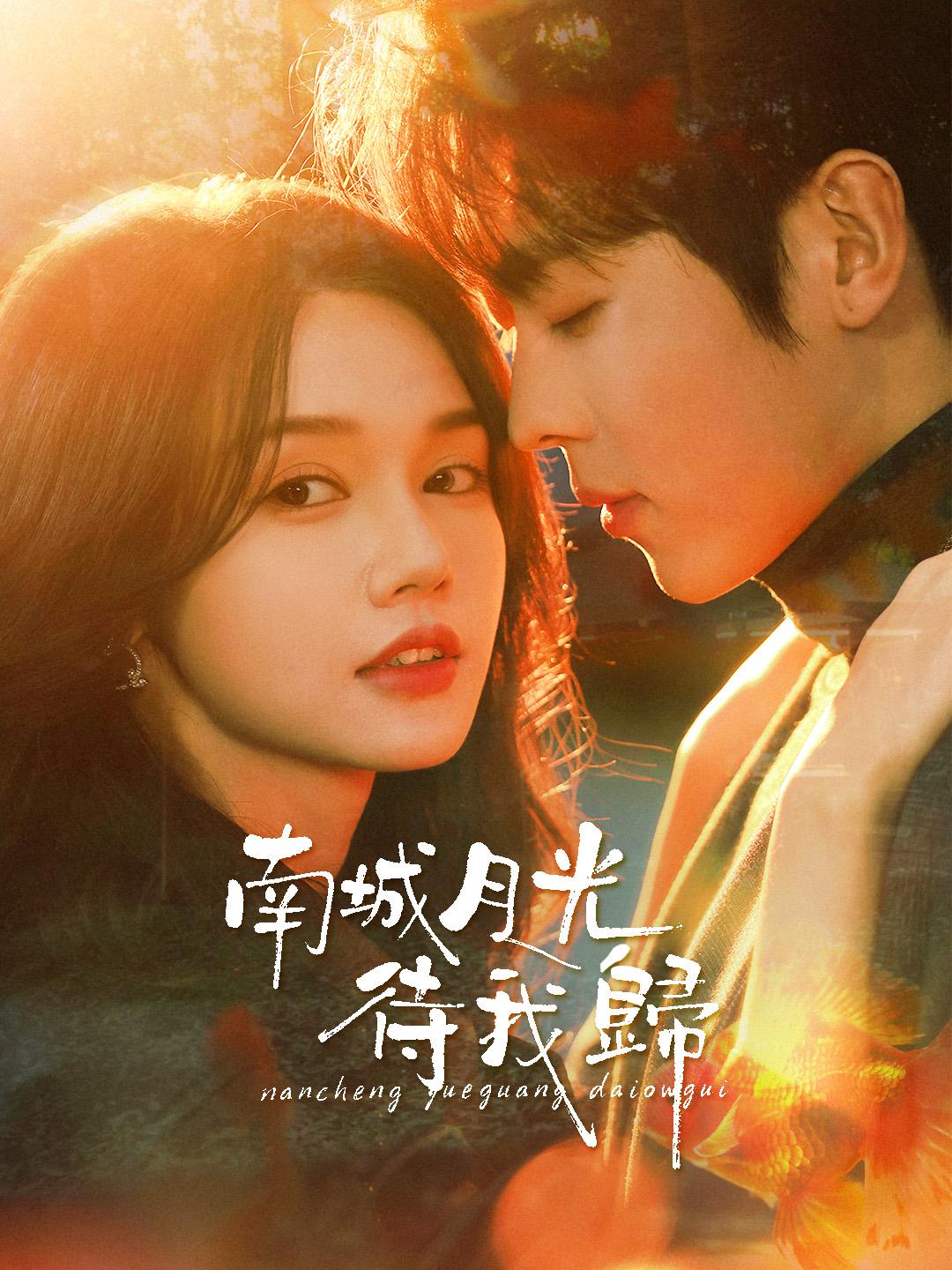 南城月光待我歸