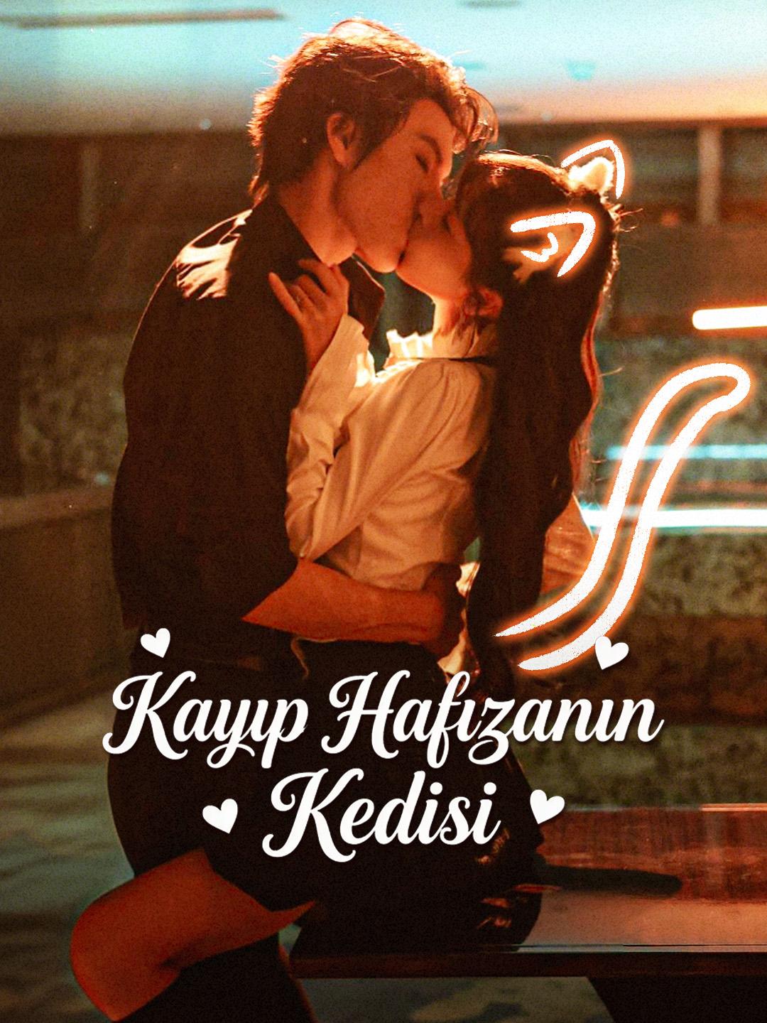 Kayıp Hafızanın Kedisi