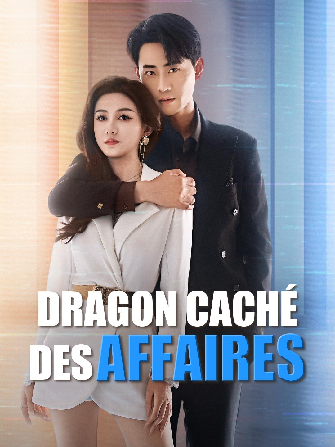 DRAGON CACHÉ DES AFFAIRES