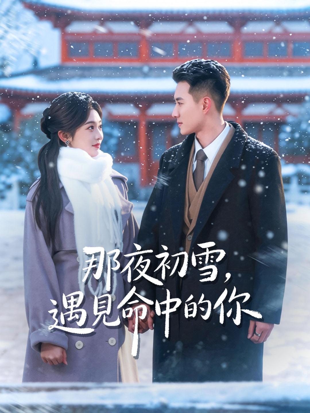 那夜初雪，遇見命中的你