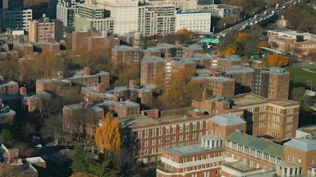 Twins Love Trap for Billionaire Dad: The Sketchbook That Never Was