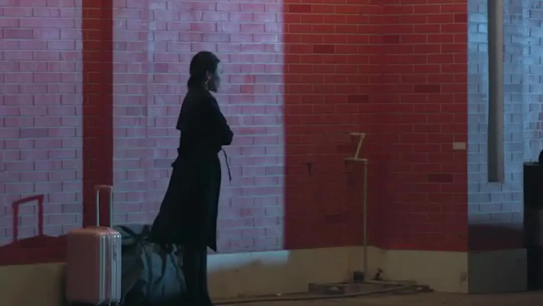 A Housewife's Renaissance: The Suit and the Shadow