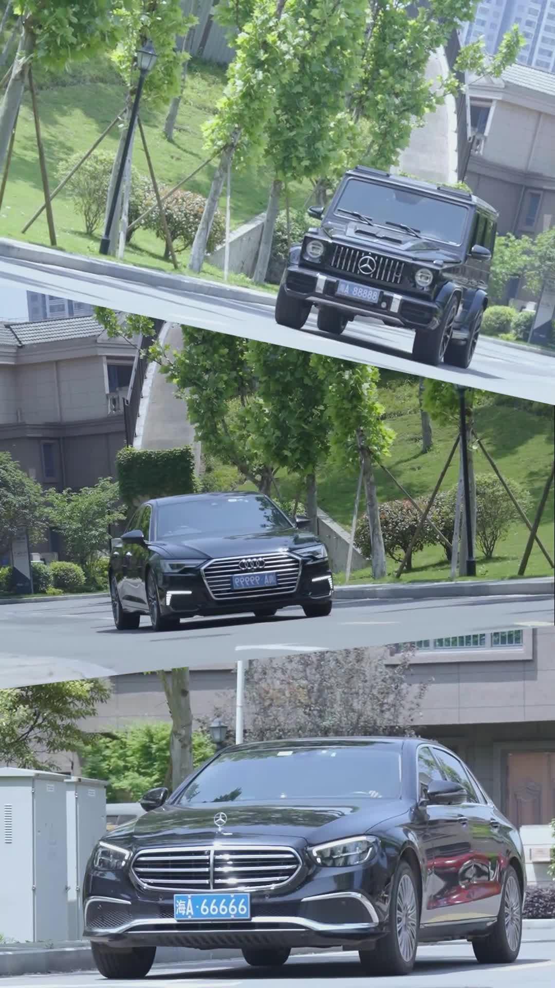 Rise from the Dim Light