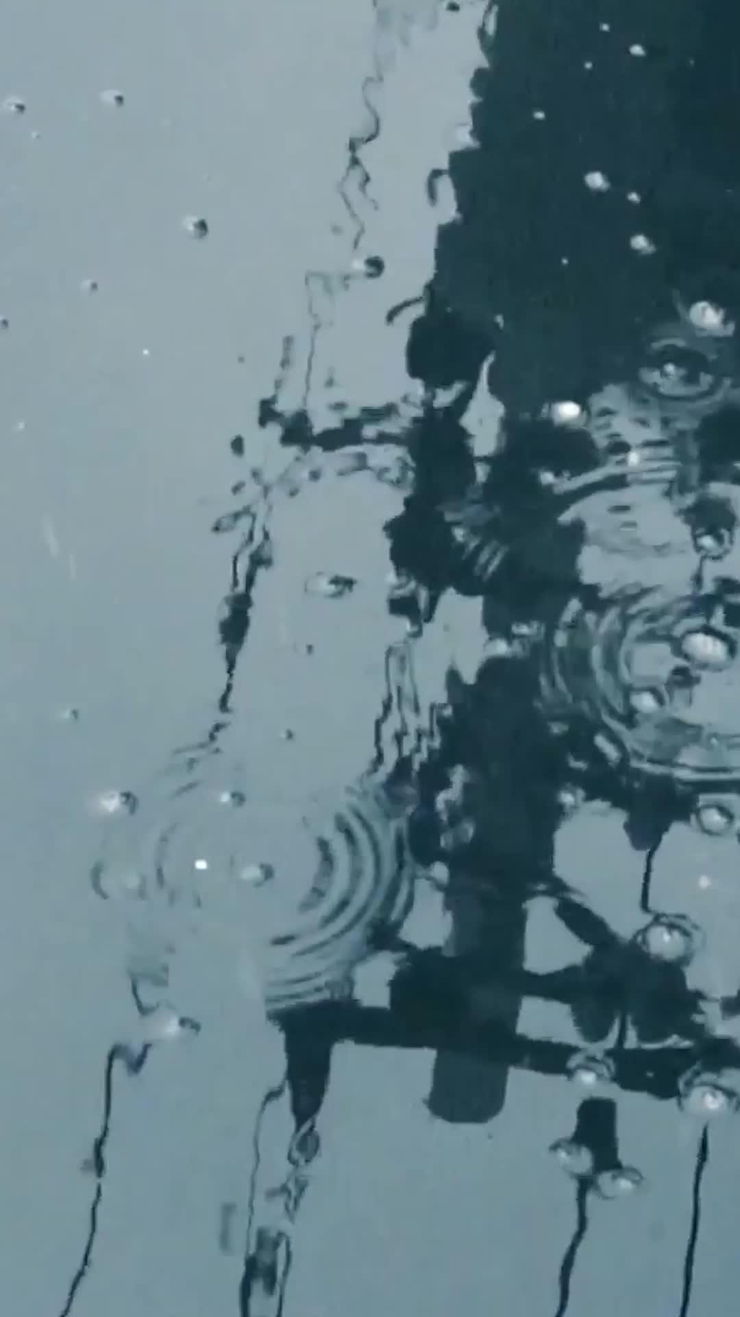 Devotion for Betrayal 