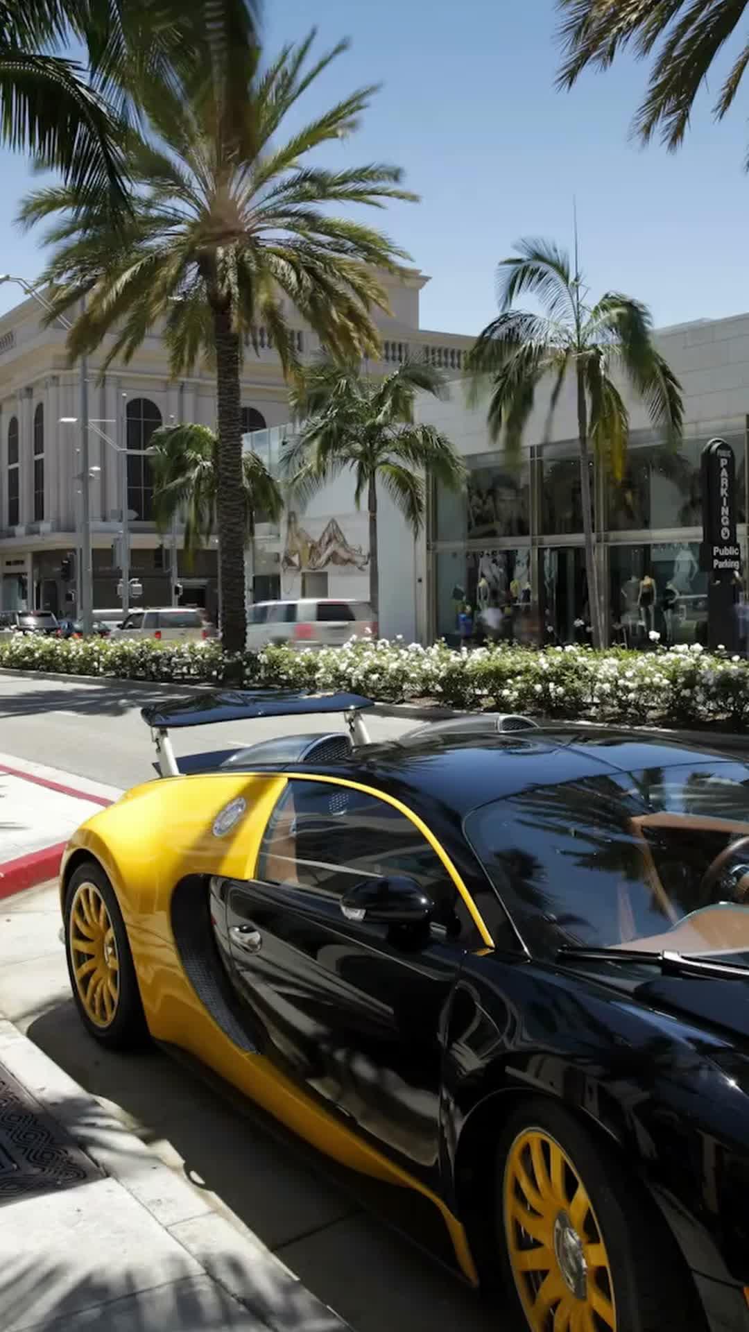 The Double Life of the True Heiress