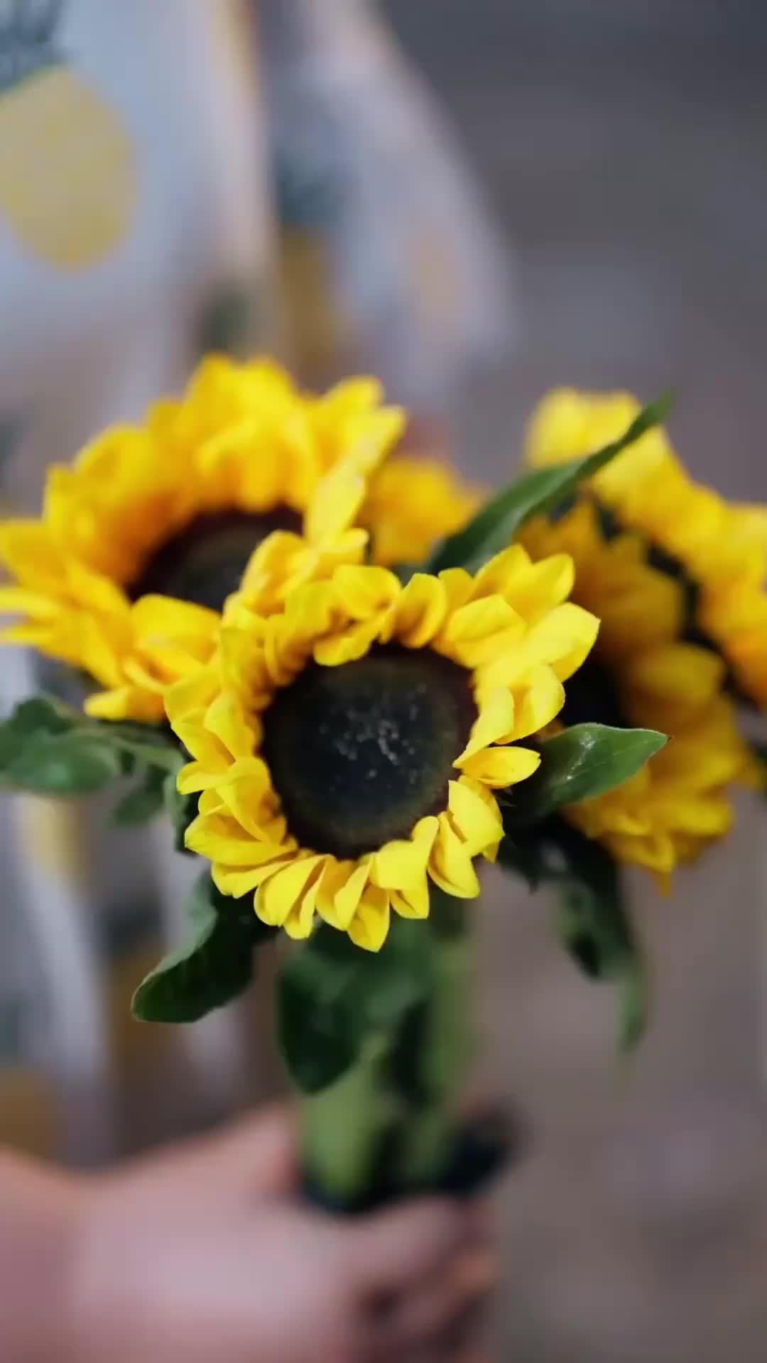 Amar Sui, Anmol Dil