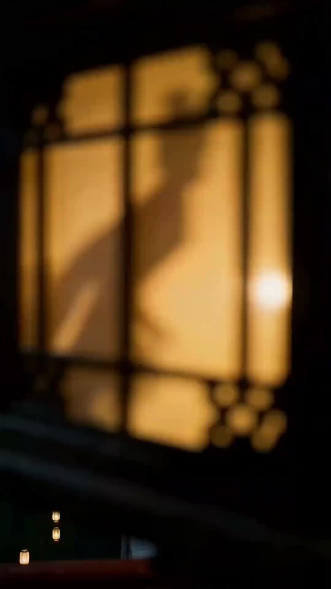 狼王の誓い～運命を変えた一夜～