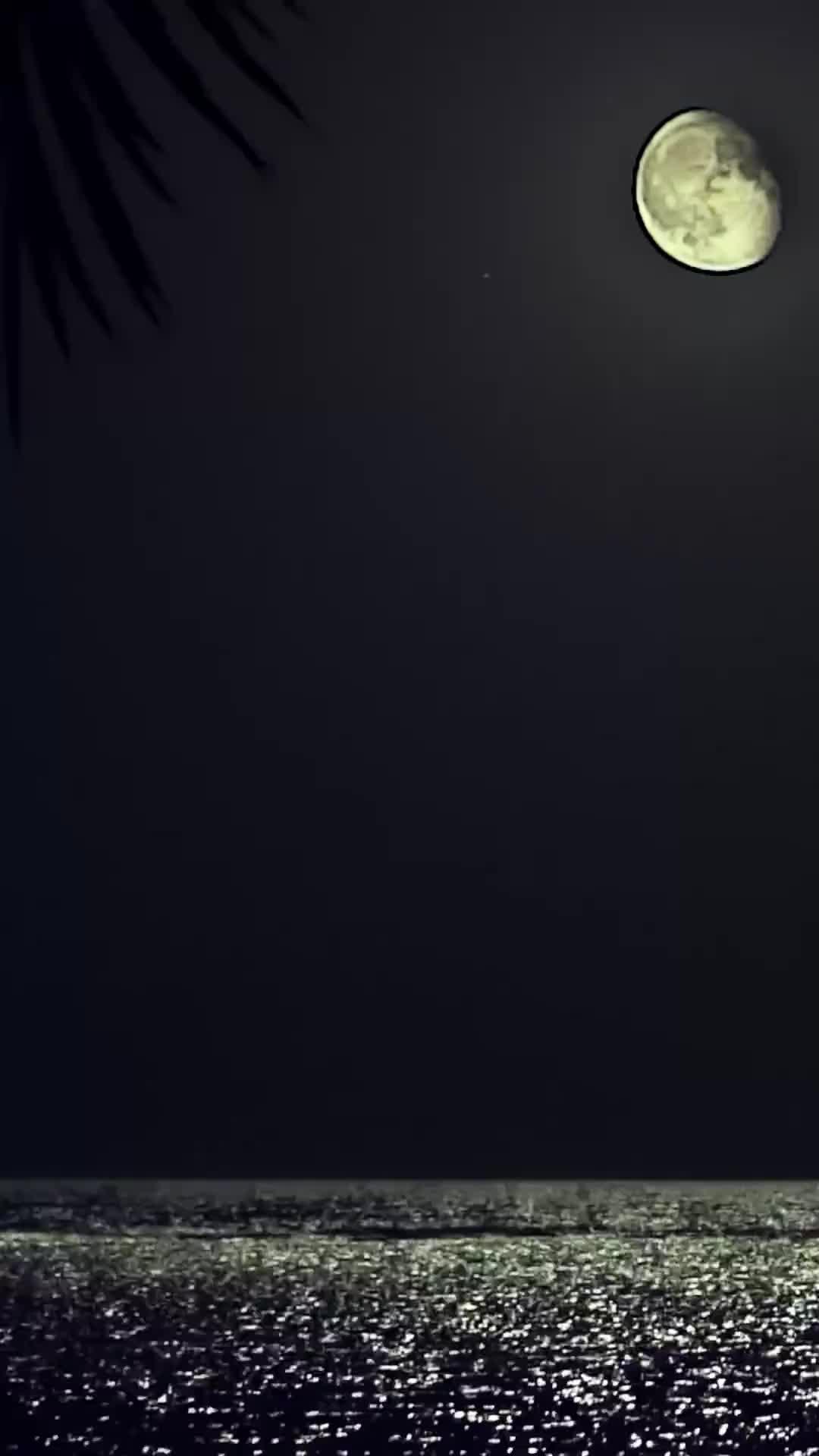 هوس الوريث الملياردير
