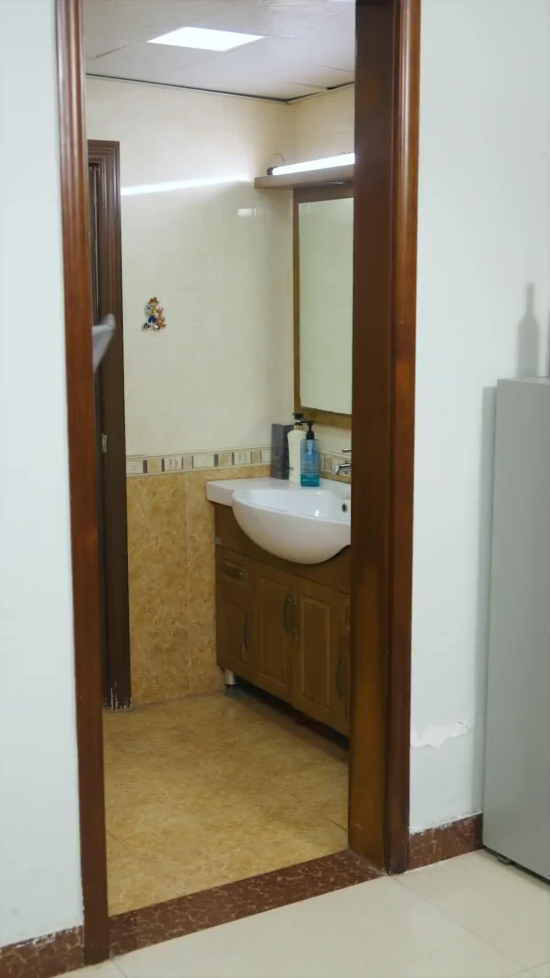 I'm Not a Plumber, I'm the Hidden Heir.