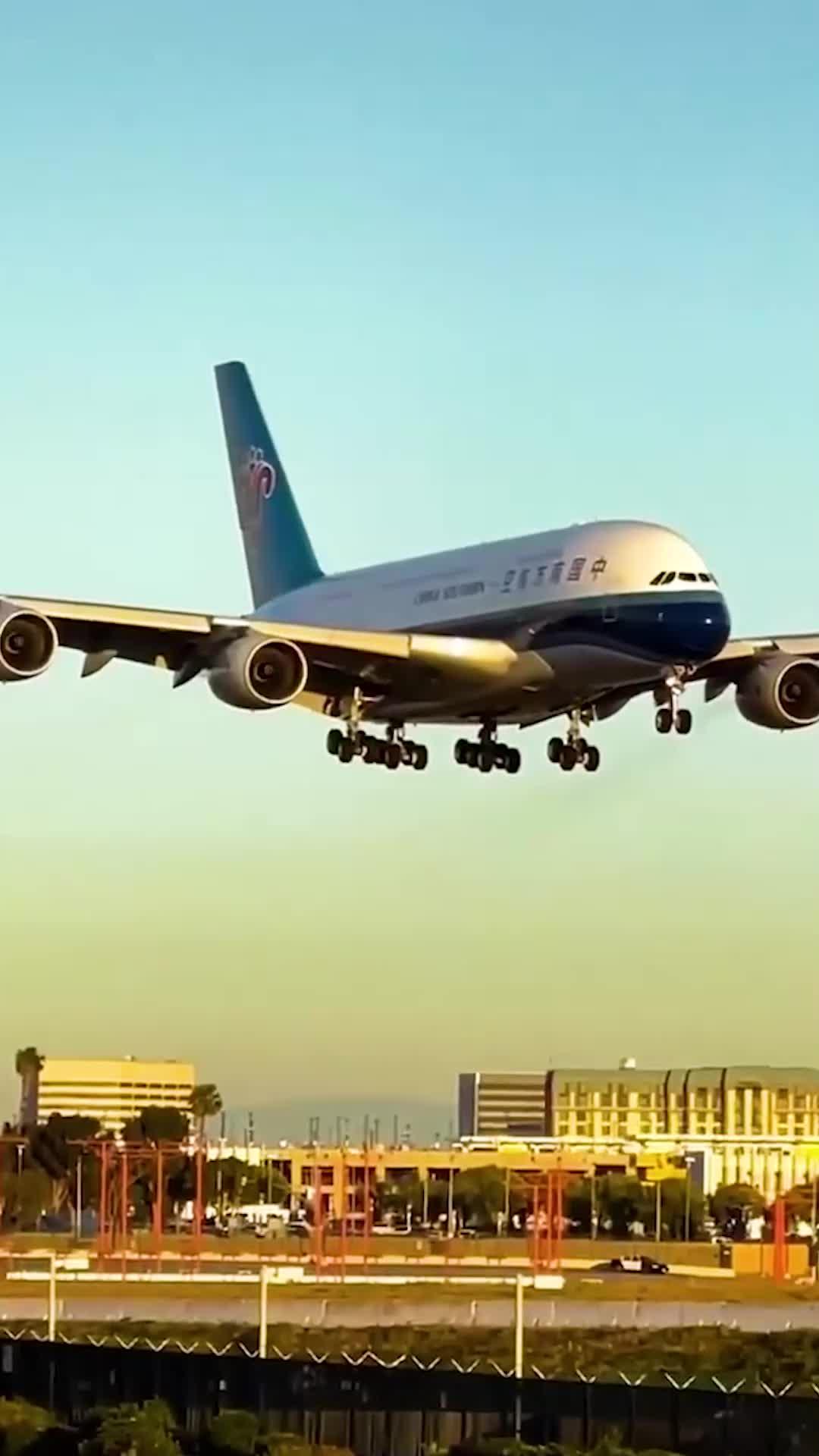 The Formula of Destiny