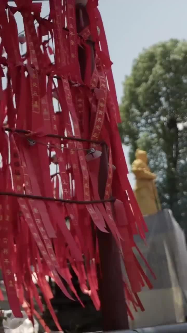 El cuchillo que sacudió el Reino
