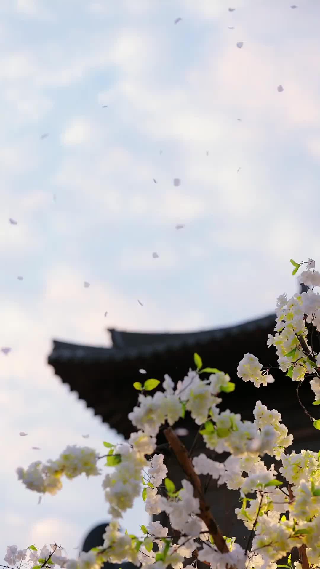 偽令嬢の成り上がり～呪いで結ばれた冷酷貴公子～