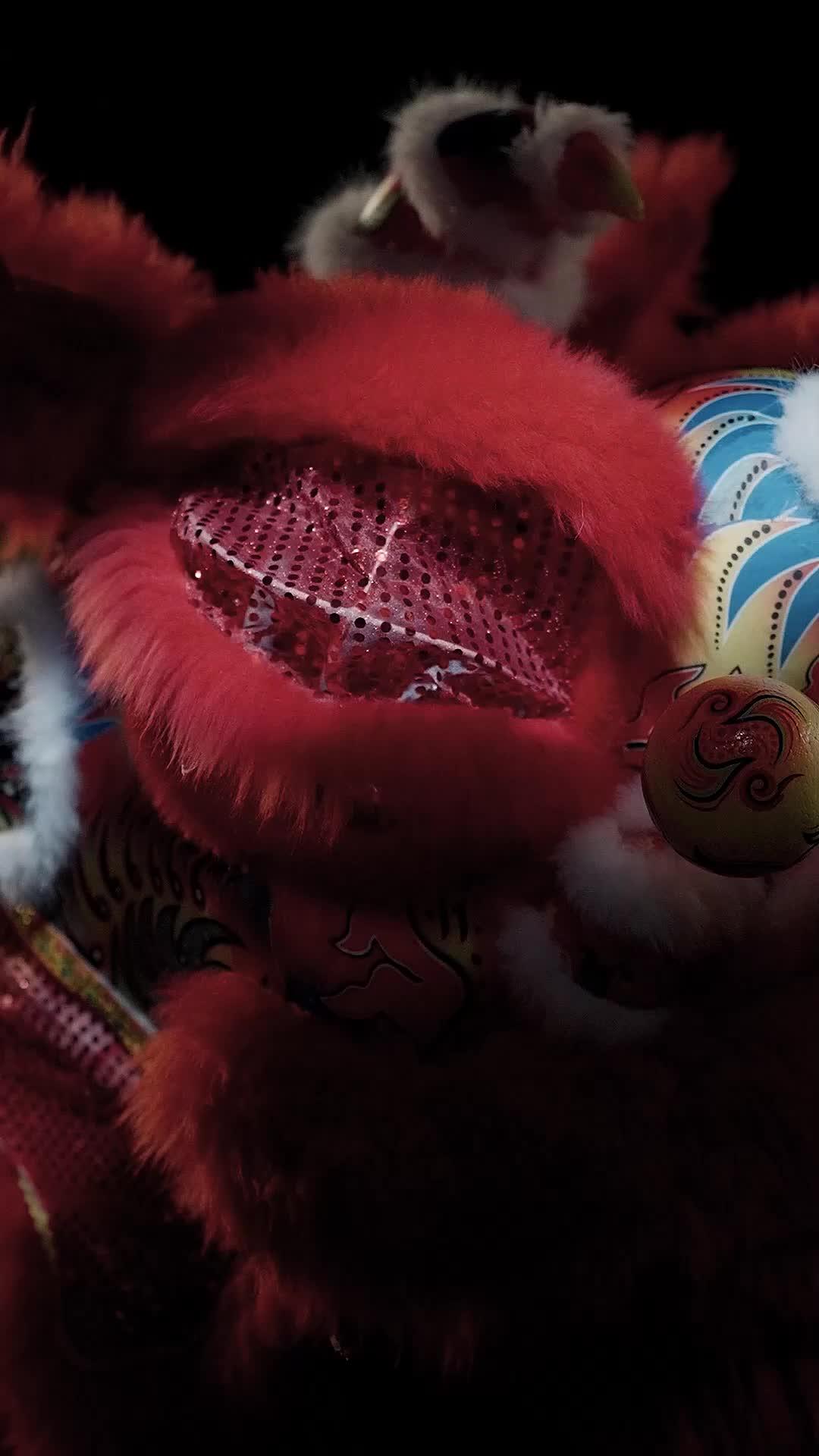 Kembalinya Sang Raja Barongsai