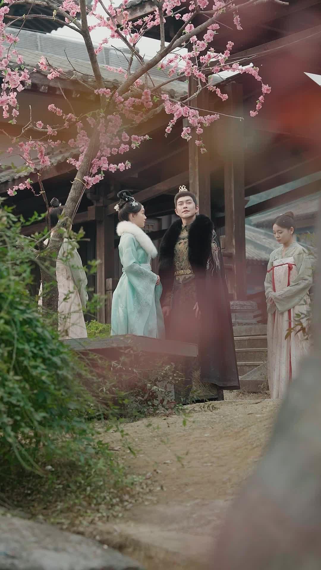 Intrigas en el harén