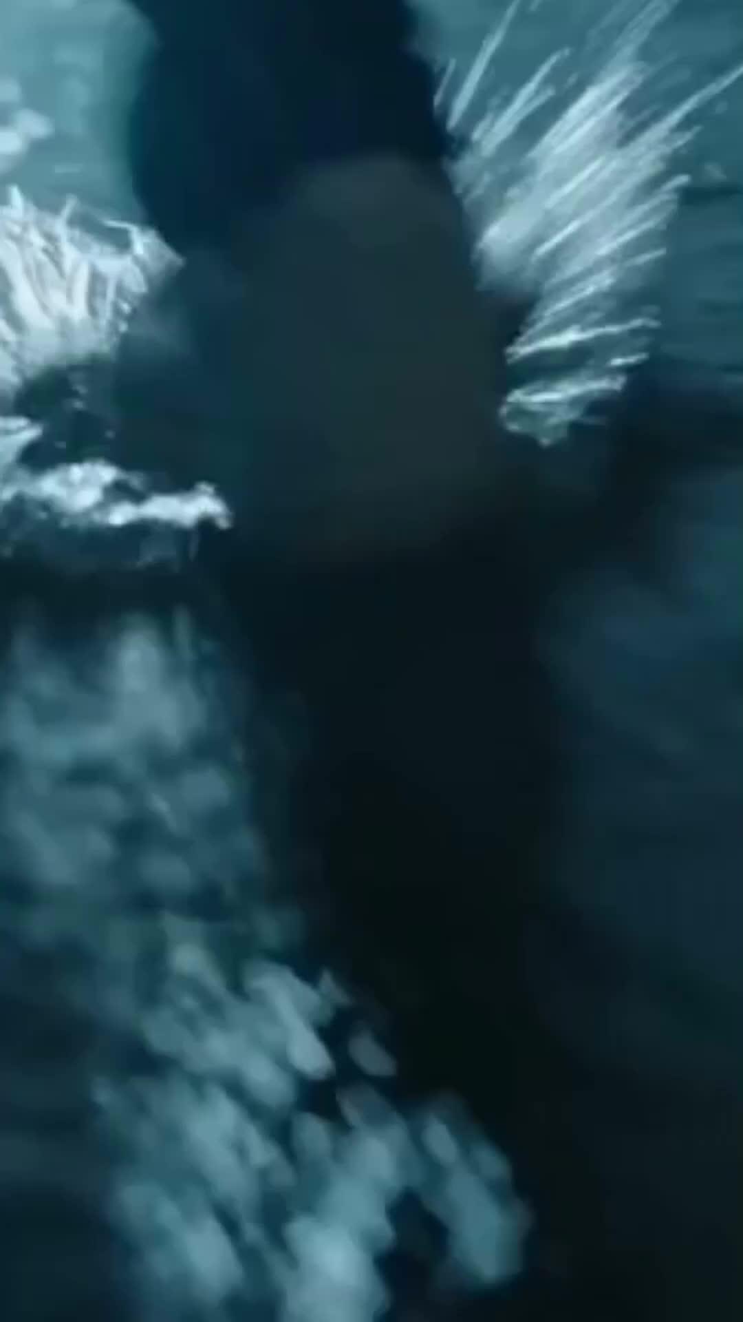 이혼 싫어
