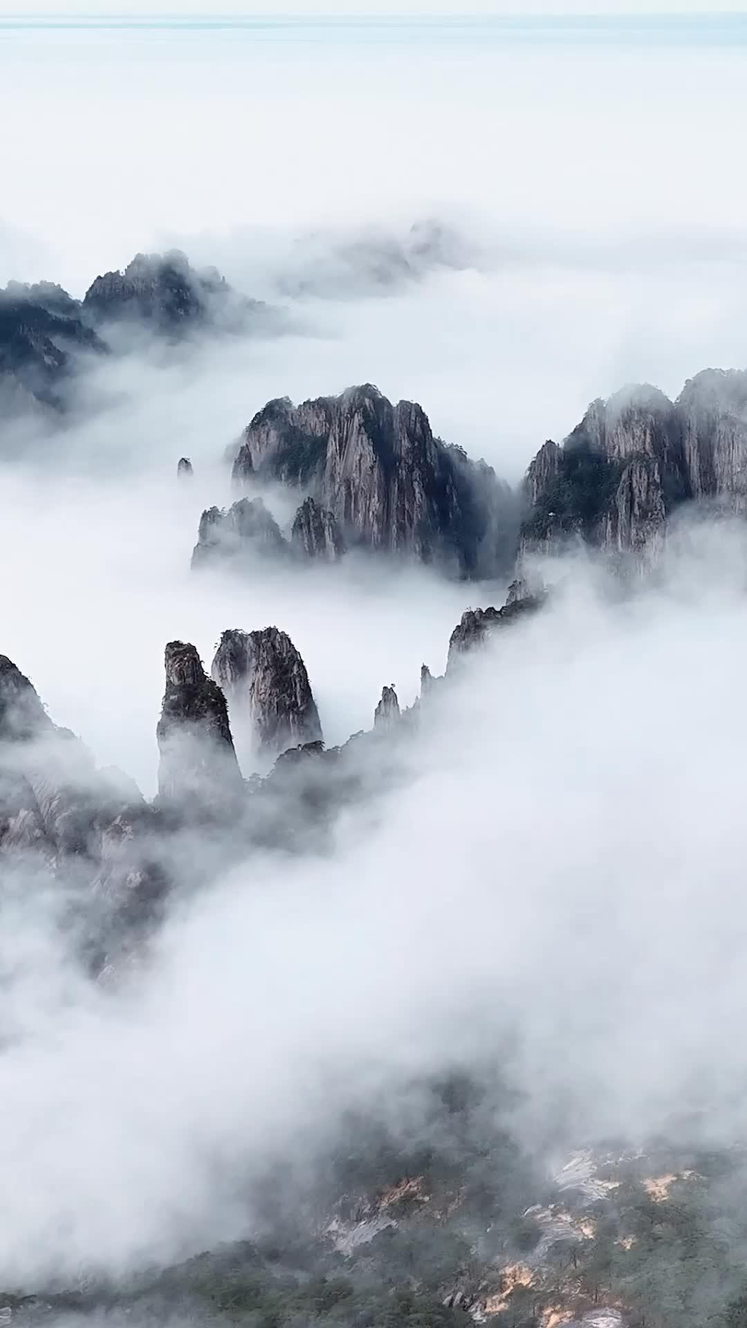 Băng Hỏa Định Mệnh