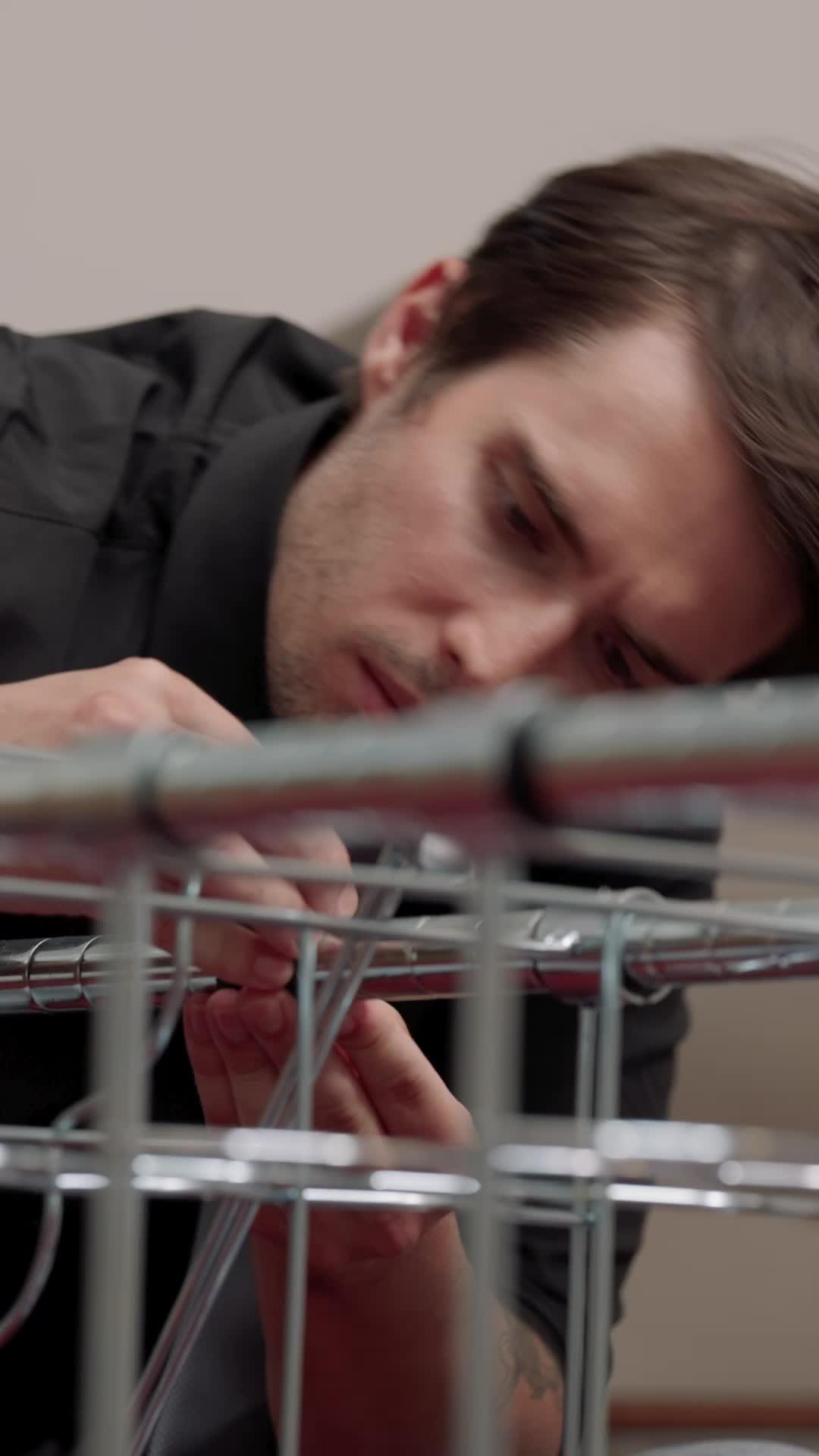 Unidos por el destino